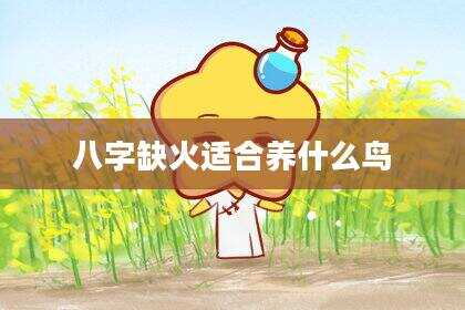 八字缺火适合养什么鸟