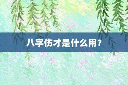 八字伤才是什么用？