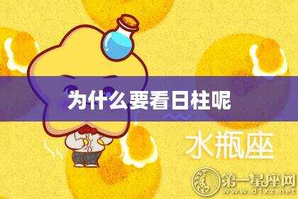 为什么要看日柱呢