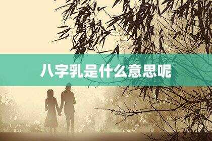 八字乳是什么意思呢