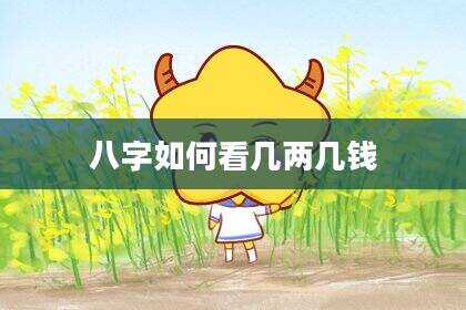 八字如何看几两几钱