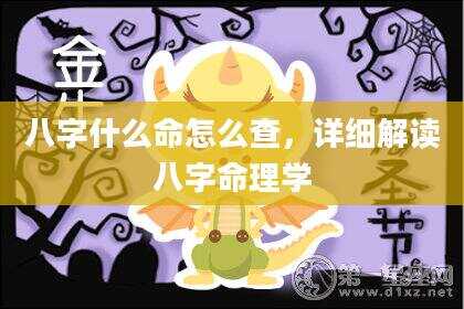 八字什么命怎么查，详细解读八字命理学