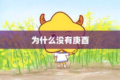 为什么没有庚酉