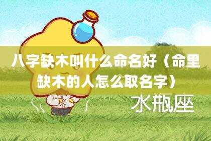 八字缺木叫什么命名好（命里缺木的人怎么取名字）