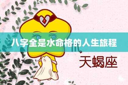 八字全是水命格的人生旅程