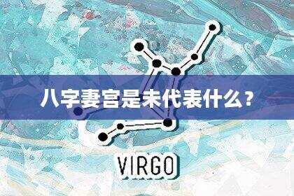 八字妻宫是未代表什么？