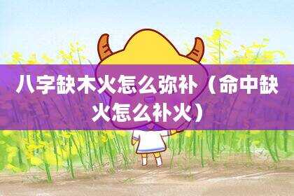 八字缺木火怎么弥补（命中缺火怎么补火）