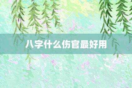 八字什么伤官最好用