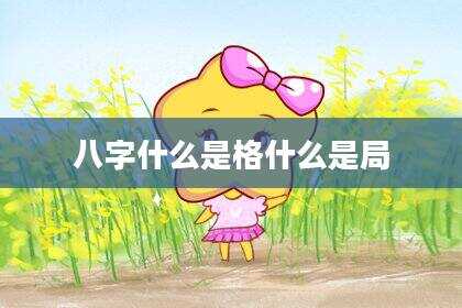 八字什么是格什么是局