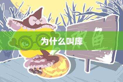 为什么叫库