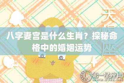 八字妻宫是什么生肖？探秘命格中的婚姻运势