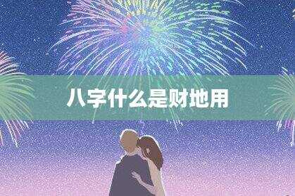 八字什么是财地用