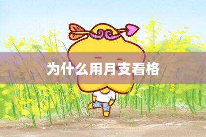 为什么用月支看格