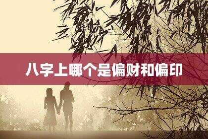 八字上哪个是偏财和偏印