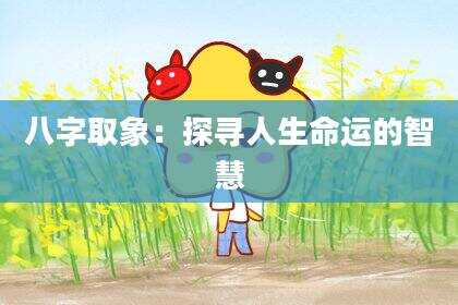 八字取象：探寻人生命运的智慧