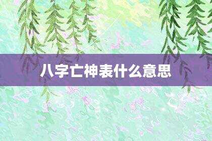 八字亡神表什么意思