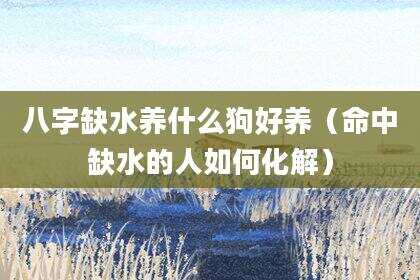 八字缺水养什么狗好养（命中缺水的人如何化解）