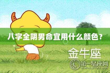 八字全阴男命宜用什么颜色？