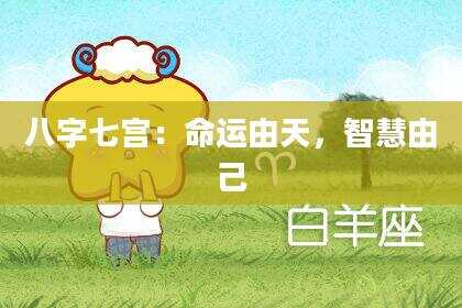 八字七宫：命运由天，智慧由己