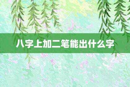 八字上加二笔能出什么字
