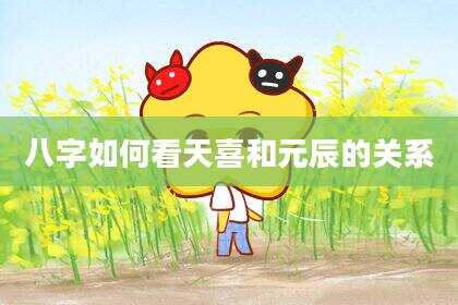 八字如何看天喜和元辰的关系