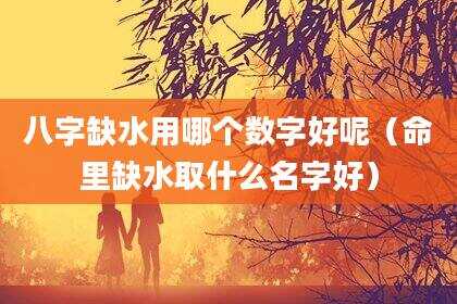 八字缺水用哪个数字好呢（命里缺水取什么名字好）