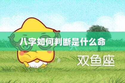 八字如何判断是什么命