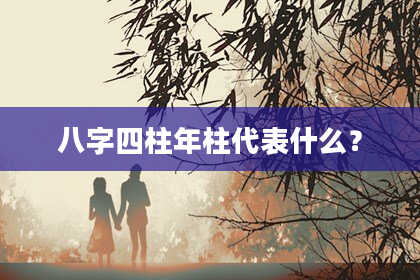 八字四柱年柱代表什么？