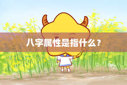 八字属性是指什么？