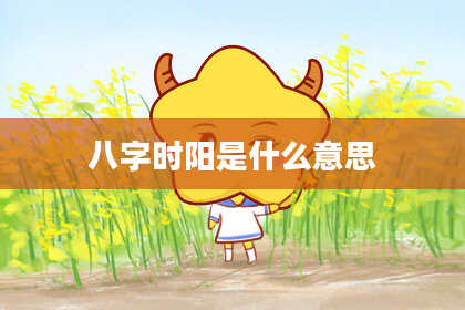 八字时阳是什么意思