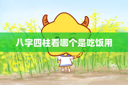 八字四柱看哪个是吃饭用
