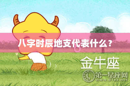 八字时辰地支代表什么？