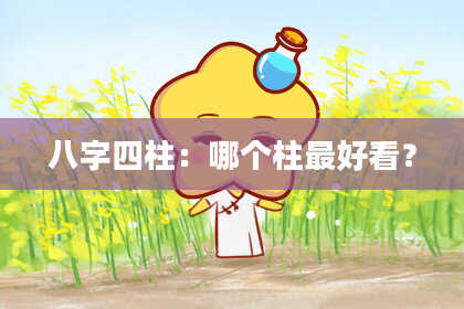 八字四柱：哪个柱最好看？