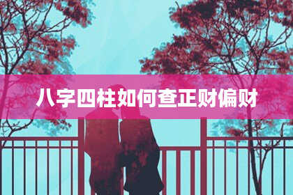 八字四柱如何查正财偏财