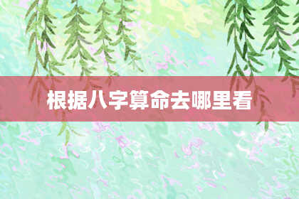 根据八字算命去哪里看