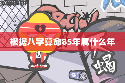 根据八字算命85年属什么年