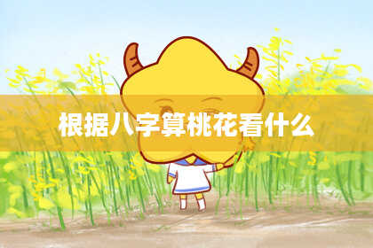 根据八字算桃花看什么