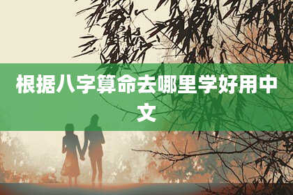 根据八字算命去哪里学好用中文