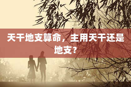 天干地支算命，主用天干还是地支？