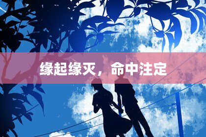 缘起缘灭，命中注定