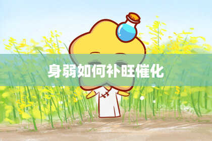 身弱如何补旺催化