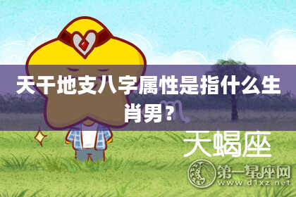 天干地支八字属性是指什么生肖男？