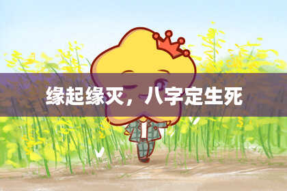 缘起缘灭，八字定生死