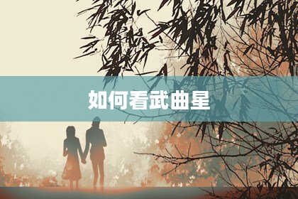 如何看武曲星