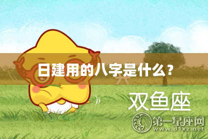 日建用的八字是什么？