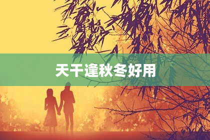 天干逢秋冬好用