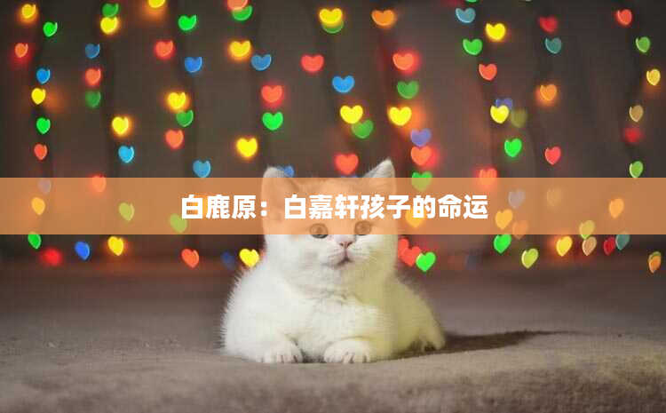白鹿原：白嘉轩孩子的命运