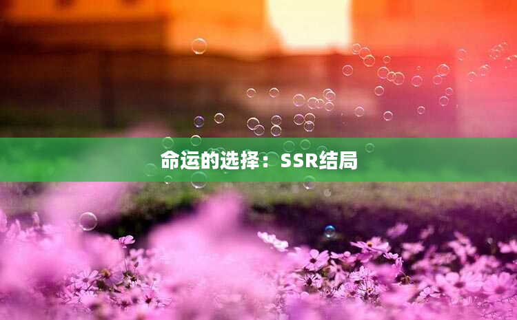 命运的选择：SSR结局