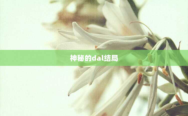神秘的dal结局