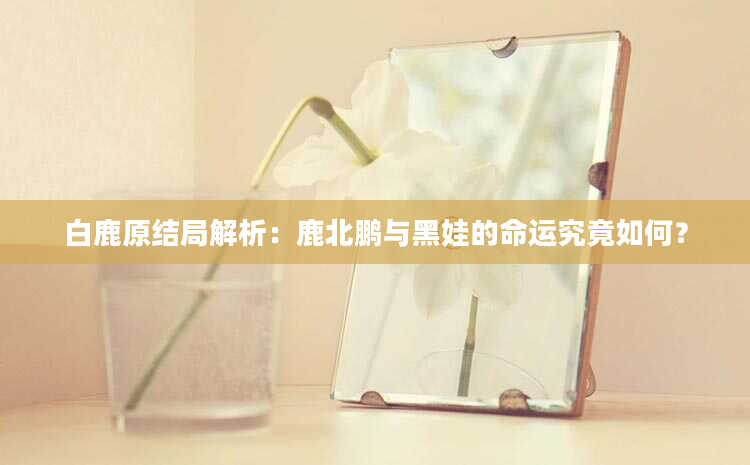 白鹿原结局解析：鹿北鹏与黑娃的命运究竟如何？